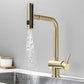 Kitchen Faucet with Pull-Down Sprayer