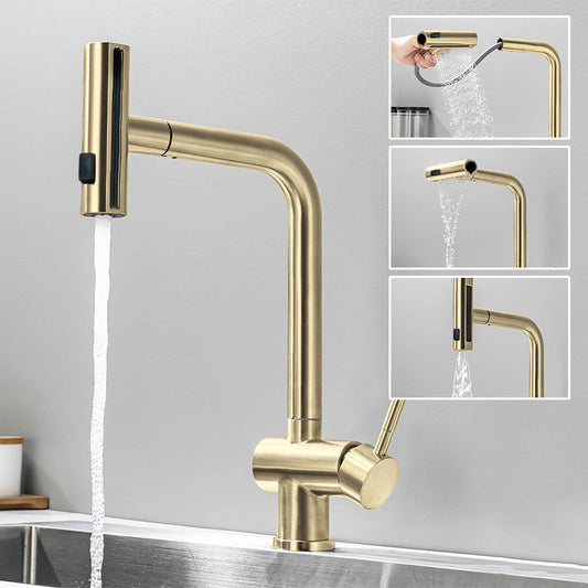 Kitchen Faucet with Pull-Down Sprayer