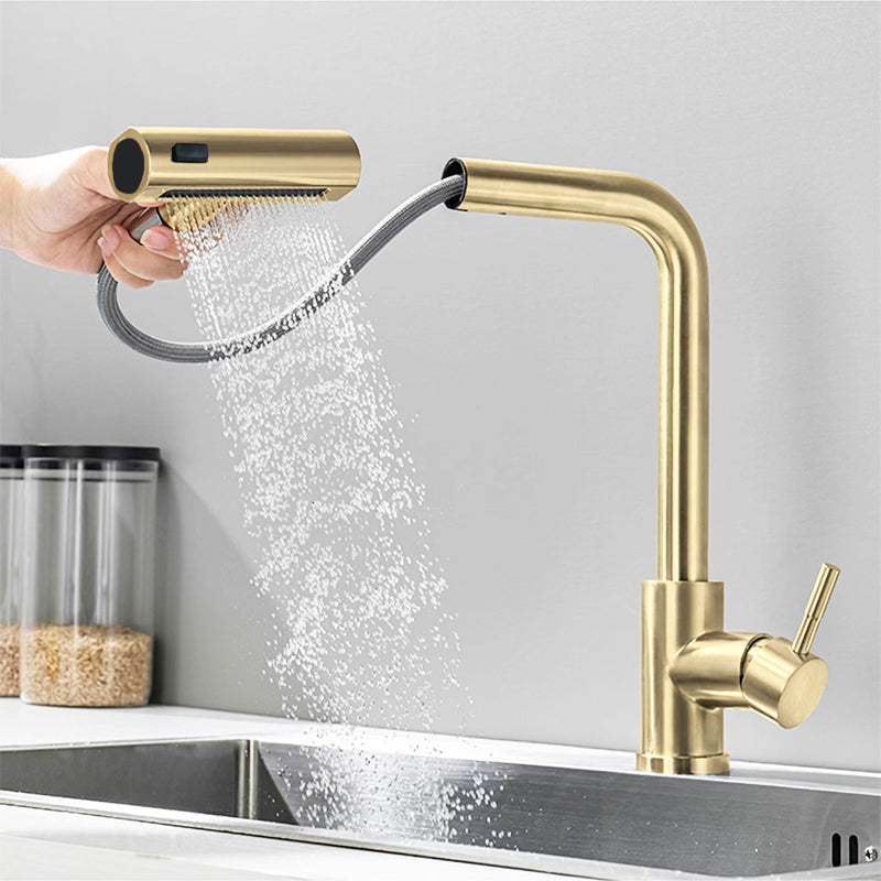 Kitchen Faucet with Pull-Down Sprayer