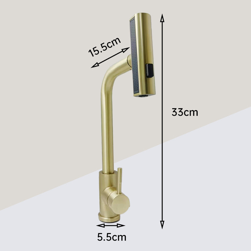 Kitchen Faucet with Pull-Down Sprayer