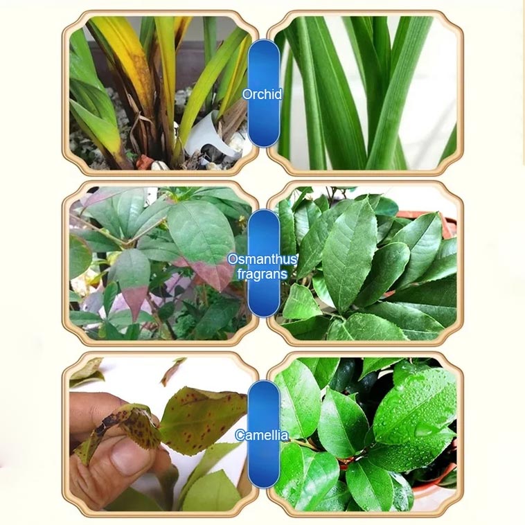 General Purpose Horticultural Antibacterial Nutrient Solution