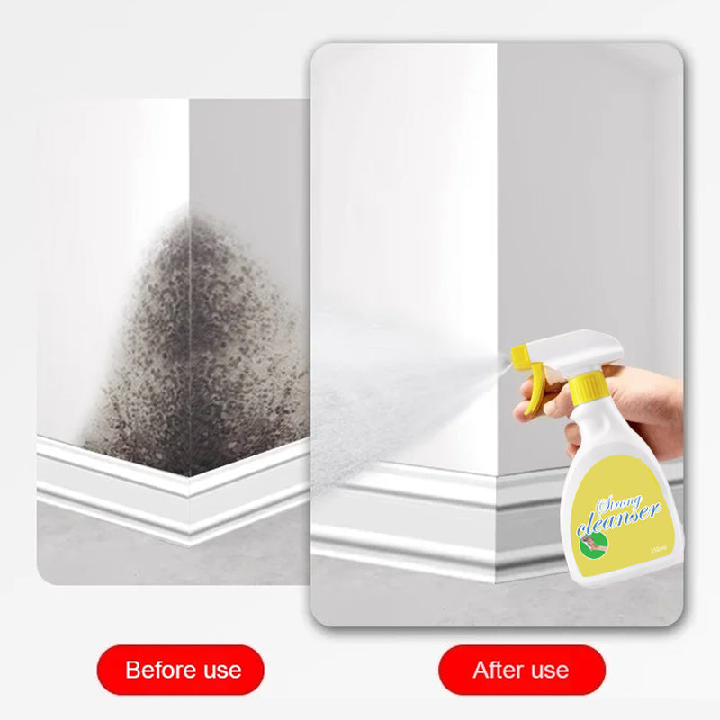 [Housework First Choice] Bright As New Wall Mold Removal Spray