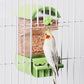 🐦Transparent Splash-Proof Automatic Bird Cage Feeder