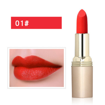 🔥Holiday Sale🔥Non-Staining Moisturizing Matte Lipstick