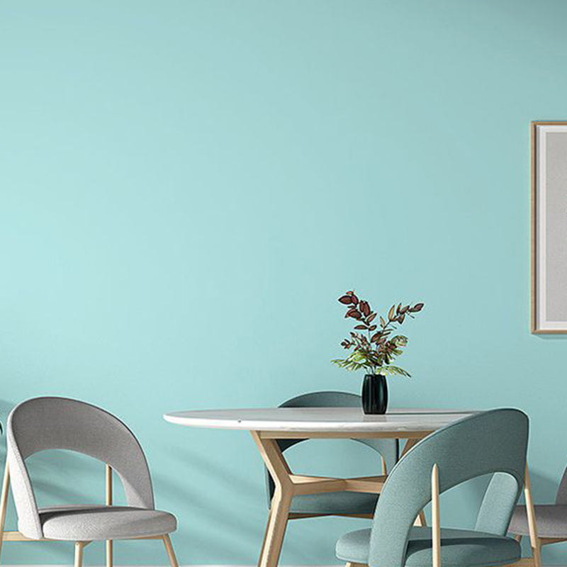 Water-Based Diatom Earth Interior Wall Paint