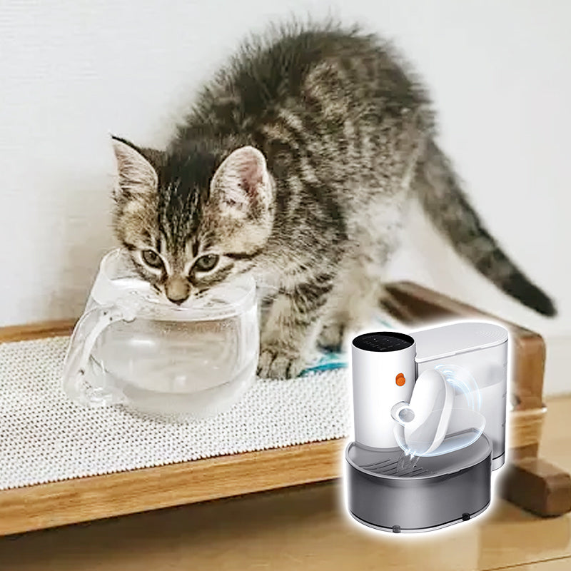 Cordless Large Capacity Automatic Pet Water Fountain