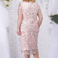 🌸Spring Specials🌸 Plus Size Embroidered Cocktail Dress