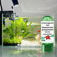 🔥Hot Sale🔥Powerful Aquarium Water Purification Tablet