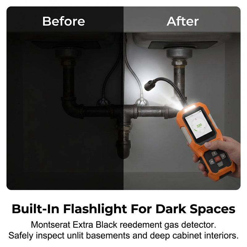Portable Natural Gas Leak Detector