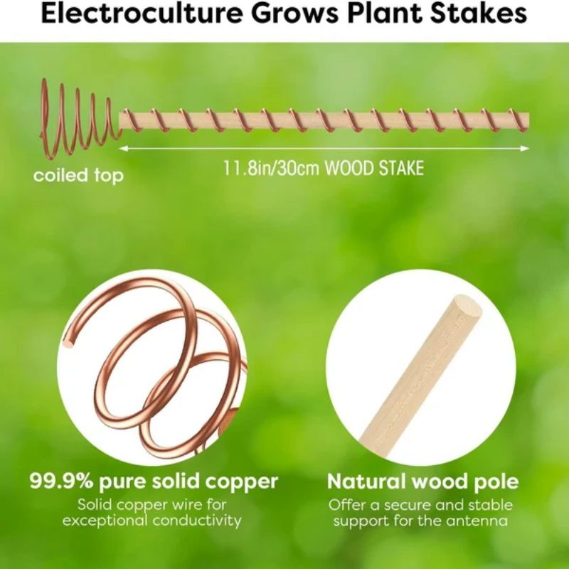 📢📢50% OFF !! ⏰One Thread - Electro Culture Copper Antenna