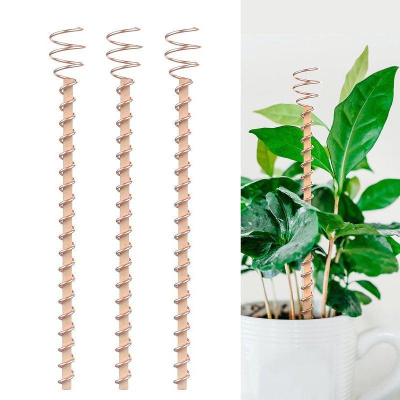 📢📢50% OFF !! ⏰One Thread - Electro Culture Copper Antenna
