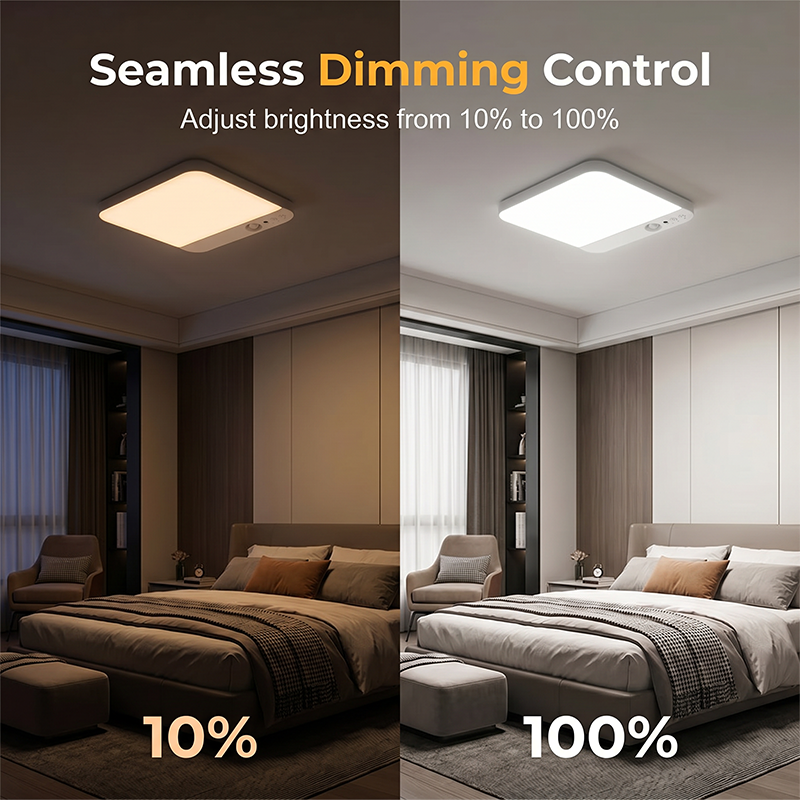 Motion Sensor Ceiling Light