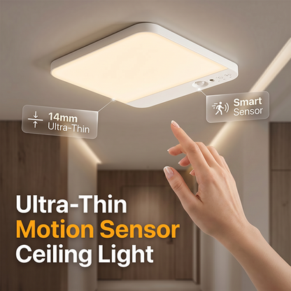 Motion Sensor Ceiling Light