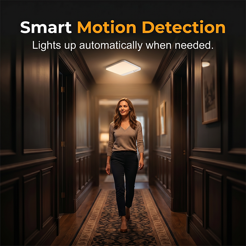 Motion Sensor Ceiling Light