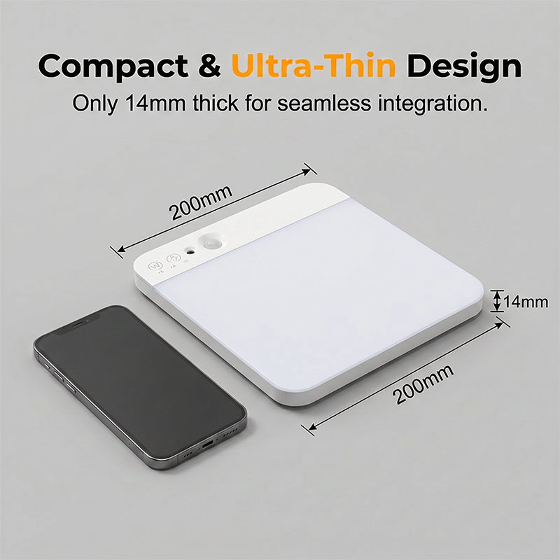 Motion Sensor Ceiling Light