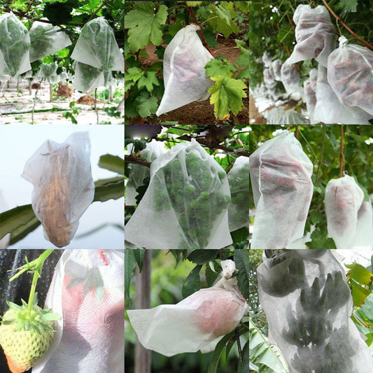 Protective Mesh Cover for Fruit Trees（50% OFF）