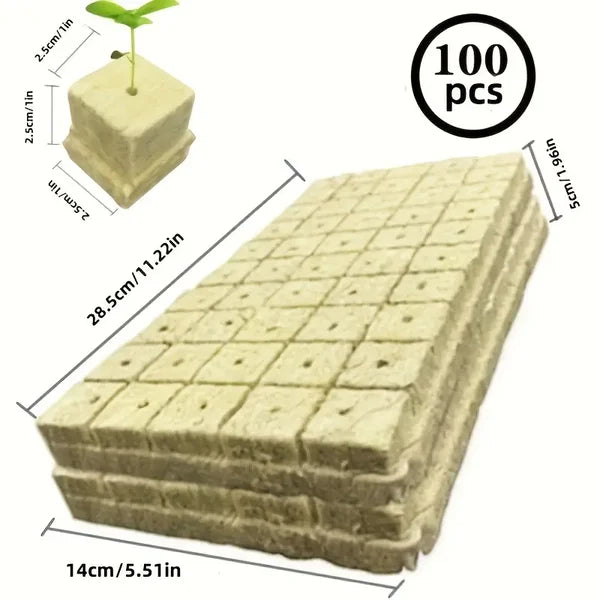 Soilless Cultivation Seedlings