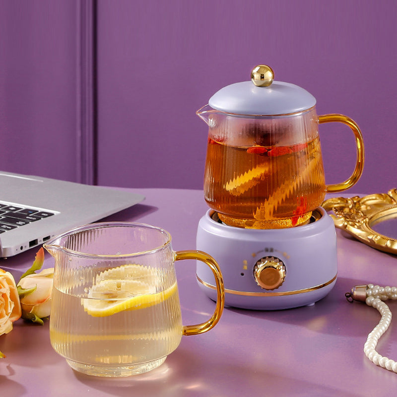 Multi-functional health kettle