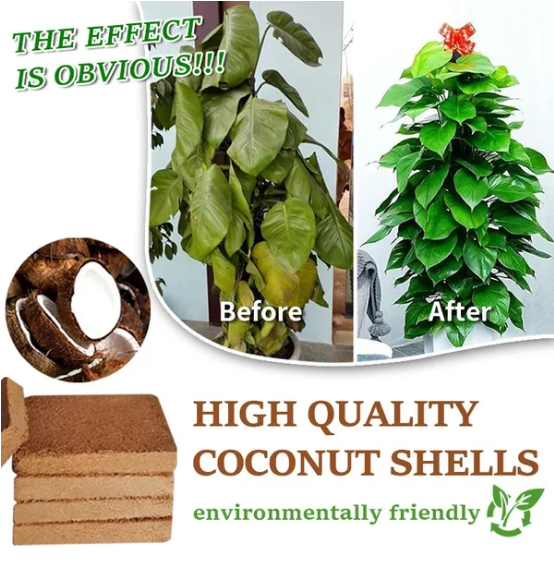 🎁Hot Sale 50% OFF⏳Organic Coconut Coir for Plants