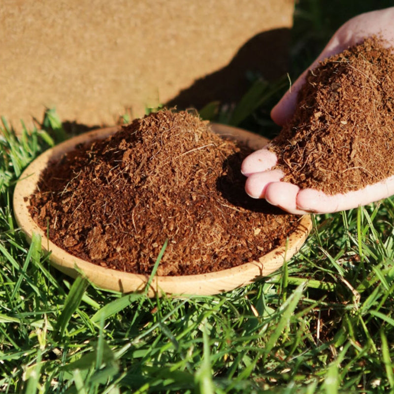 🎁Hot Sale 50% OFF⏳Organic Coconut Coir for Plants